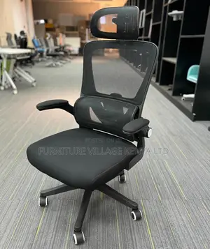 Office Chair: Orthopedic Lumber Fabric Executive Chair