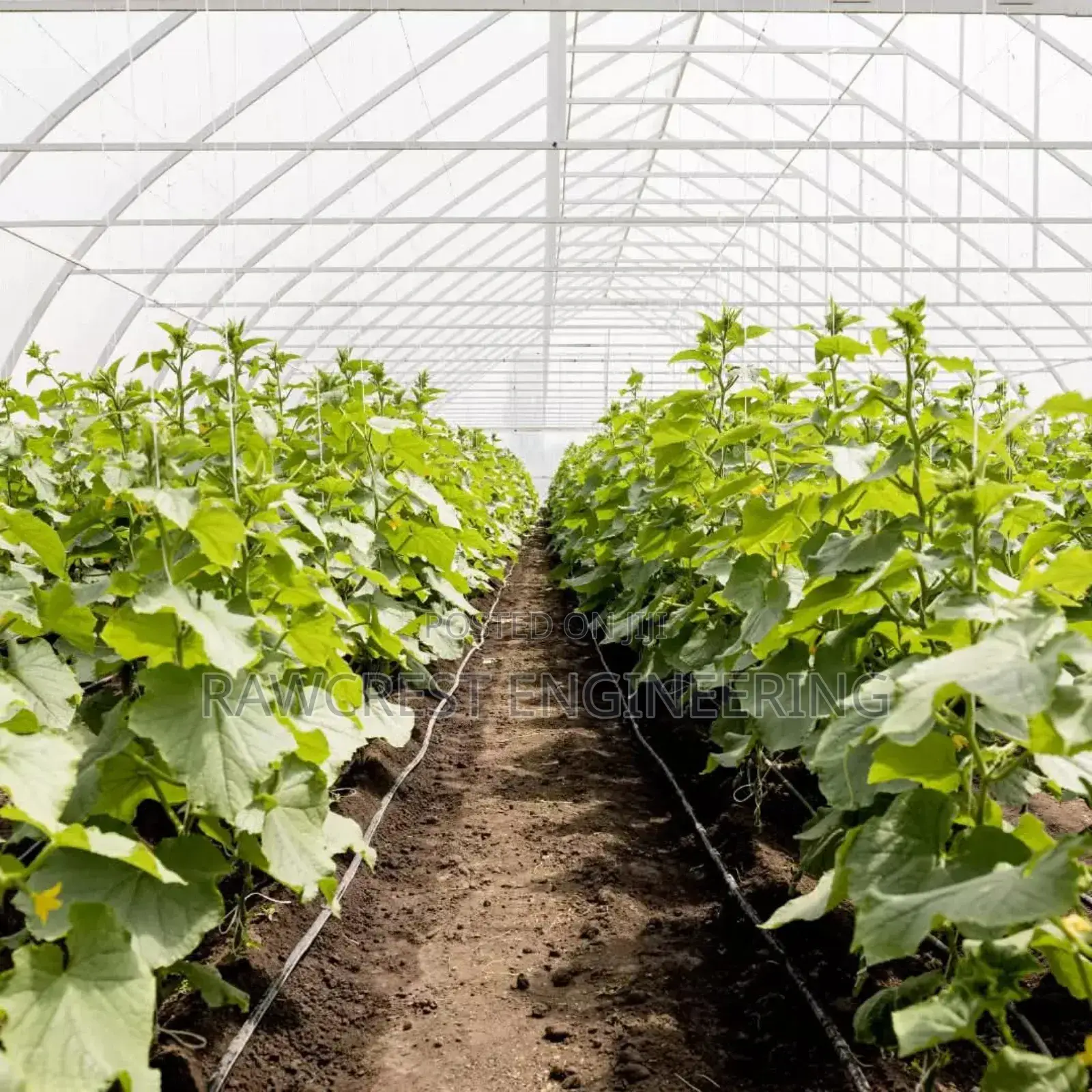Drip Irrigation And Greenhouse Construction