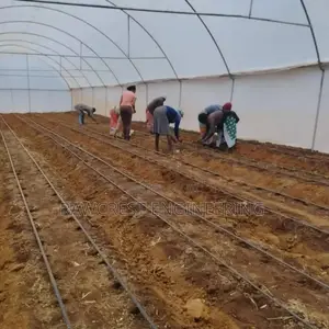 Drip Irrigation And Greenhouse Construction