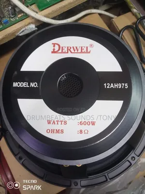 Derwel Speakers 12 Inches (600watts)
