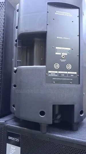 Soundking Midrange Speakers