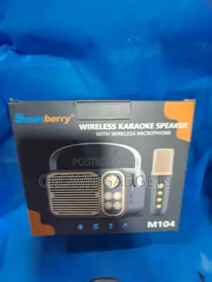 Karaoke Microphone