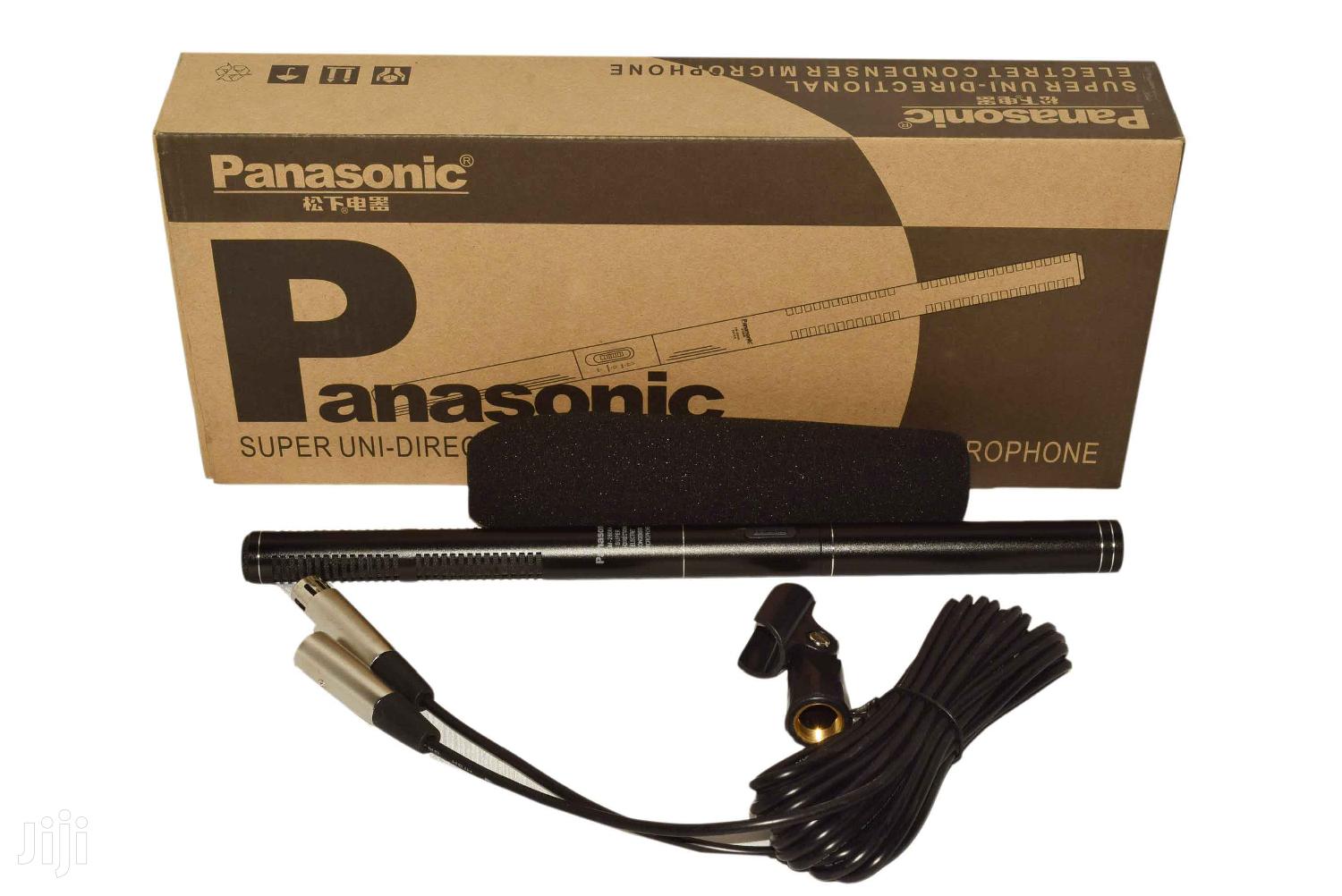 Panasonic Microphone