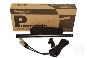 Panasonic Microphone
