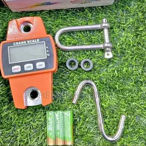 Mini Crane Scale 200kgs Weight