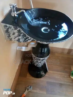 Professional Plumber
