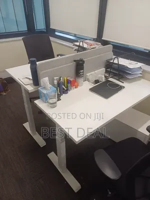 Sit Stand Electric Desk Workstation