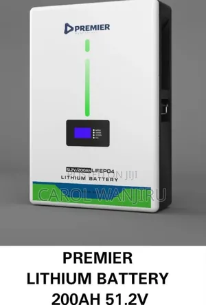 200ah 51.2v Lithium Battery/ Lithium Battery 200ah Premier