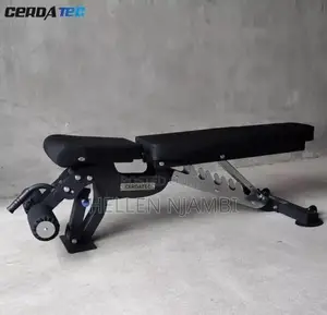 Commercial Adjustable Dumbbell Bench