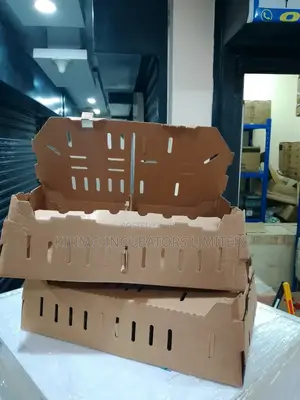 Chick Transportation Box