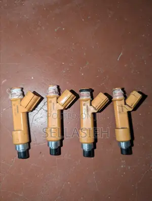 Fuel Injectors Nozzles