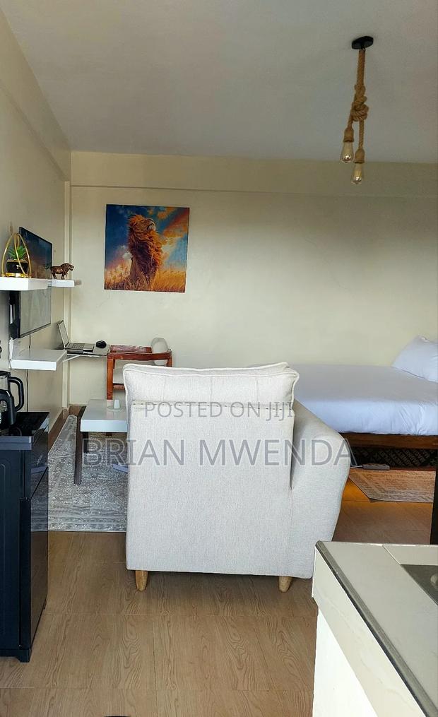 Furnished 1bdrm Bedsitter in Mountain View for rent - thumbnail 9