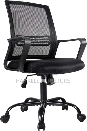 Ergonomic Home Office Desk Chairs