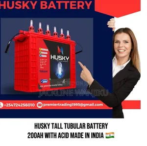 100ah Husky Tall Tubular Battery/ 100ah Tubular Battery