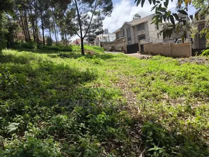 Quarter Acre Plot in Ngong Along Lemiso Road Near Tarmac