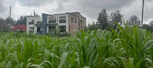 50 by 100 Plot in Matasia Memusi Along Rapasi Road for Sale