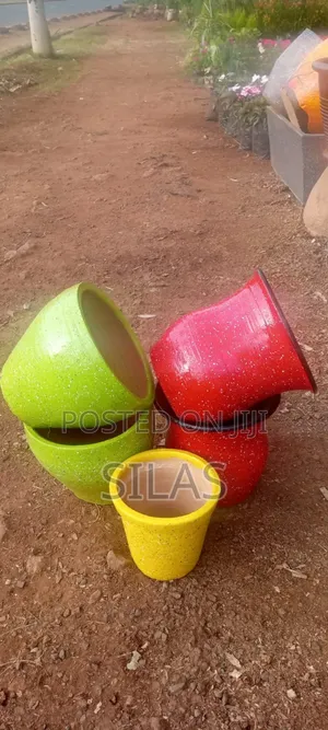 Plant Pots