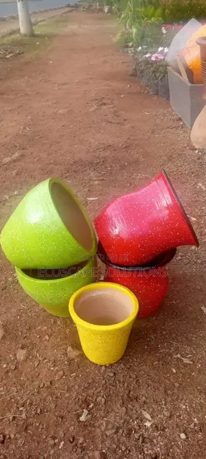 Plant Pots
