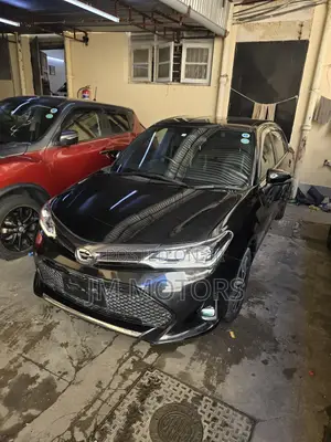 Toyota Corolla Fielder 2018 Matt Black