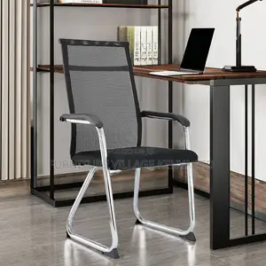 Office Chair: Ergonomic Mesh Chair- Steel Backrest Support