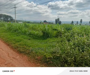 Redhill 1.8ac Near Tropical Heat Company