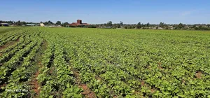 Commercial Plots for Sale in Eldoret Marura Behind Delta