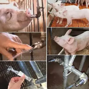 Stainless Steel Pig Nipple Drinker Piglet Water Nipple - 5pc