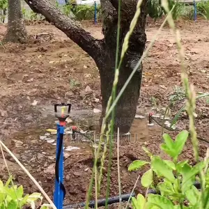 Ground-Inserted Rod Micro-Sprinkler .