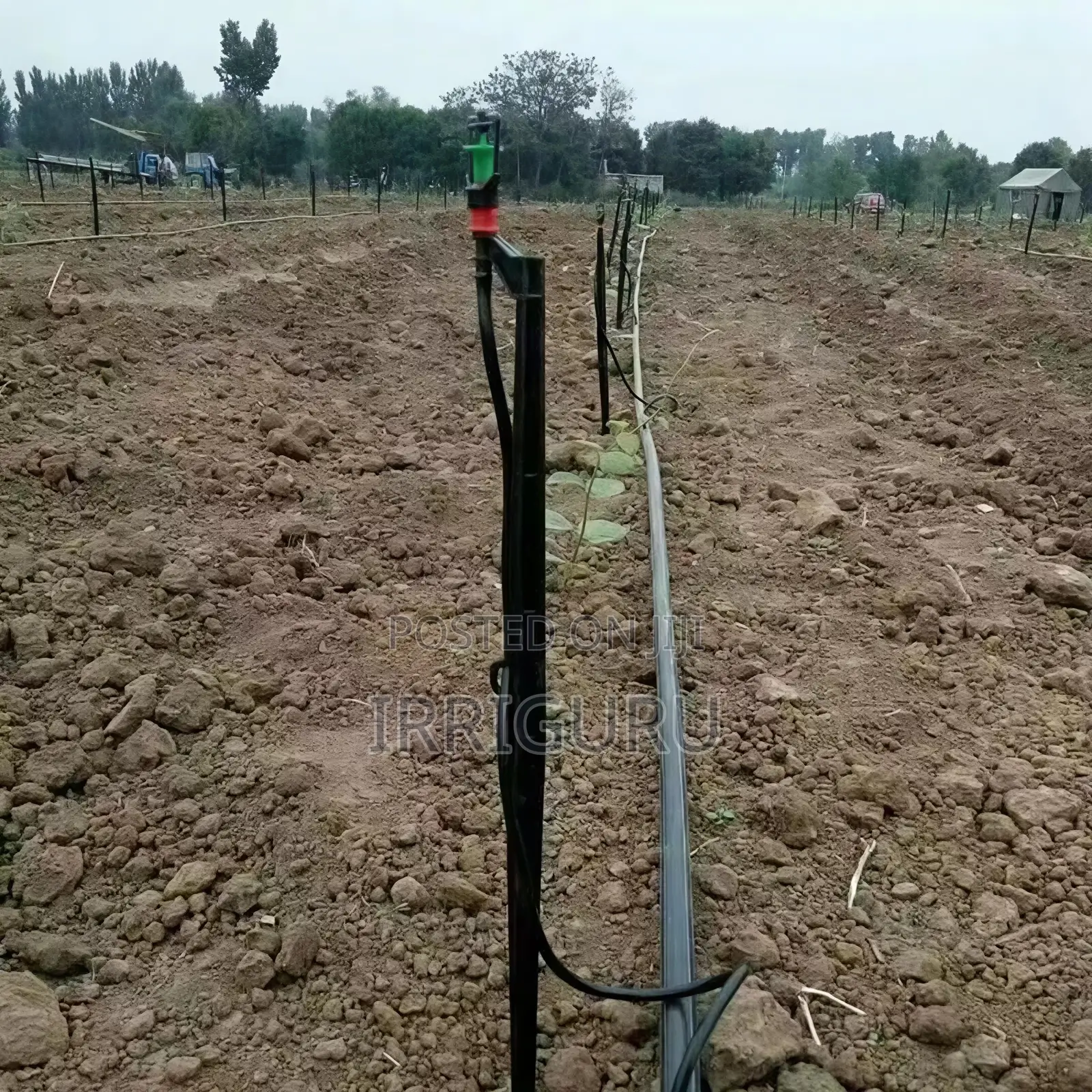 Vertical Pole Inserted Micro-Sprinkler .