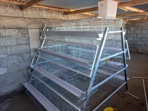 Chicken Cages