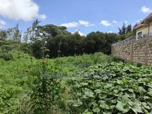 Eighth Acre Plot in Ngong Along Maragara Road Near Tarmac