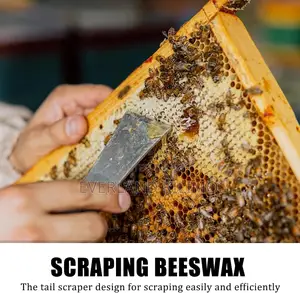 Lifting Frames and Scraping Bee Hives