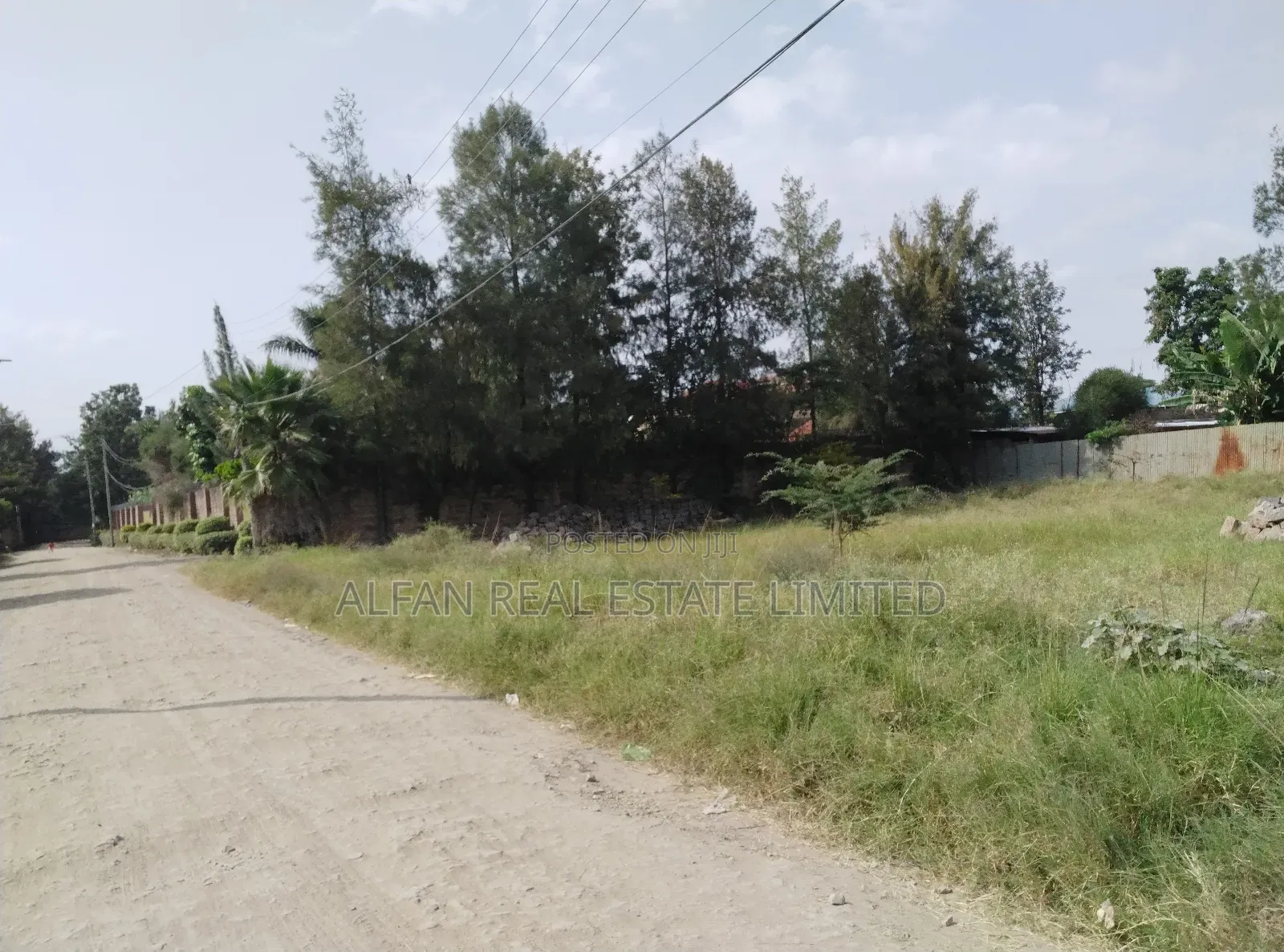 Utawala 0.25 Acre Plot