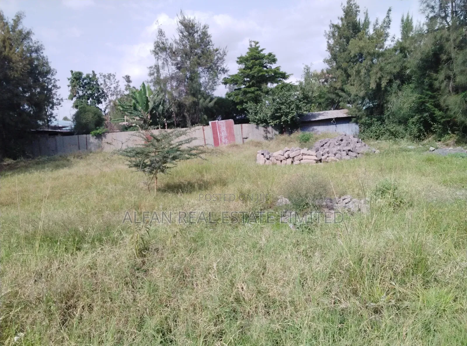 Utawala 0.25 Acre Plot