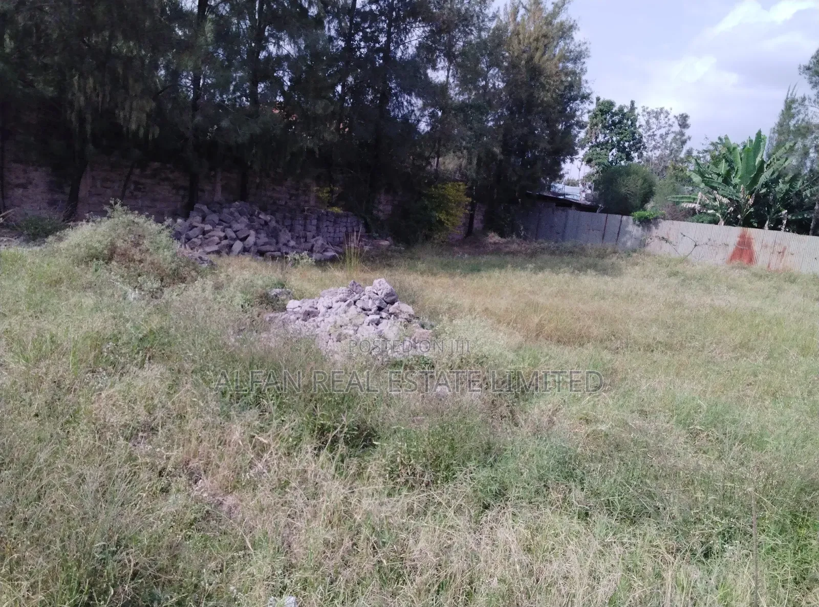 Utawala 0.25 Acre Plot