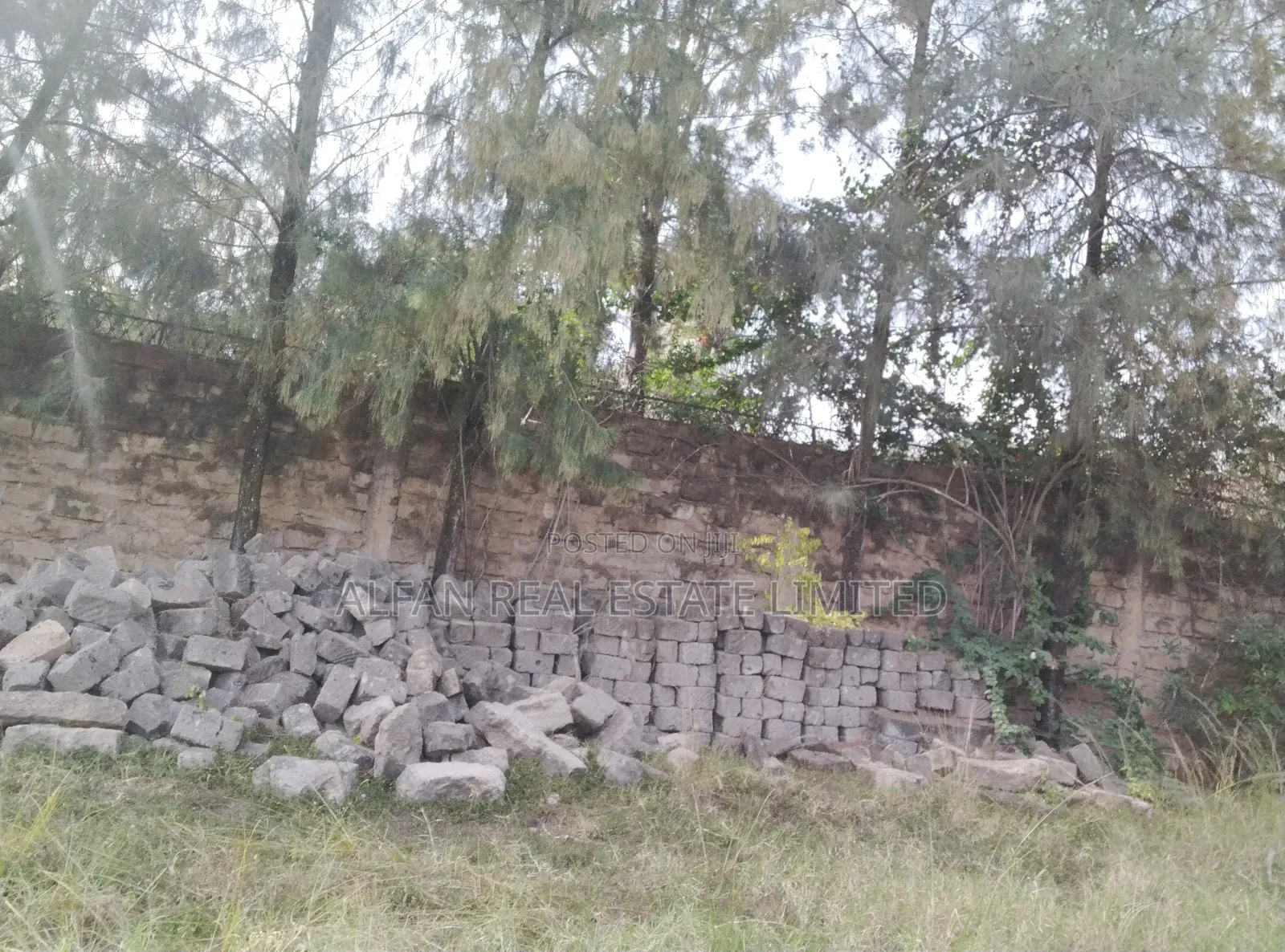 Utawala 0.25 Acre Plot