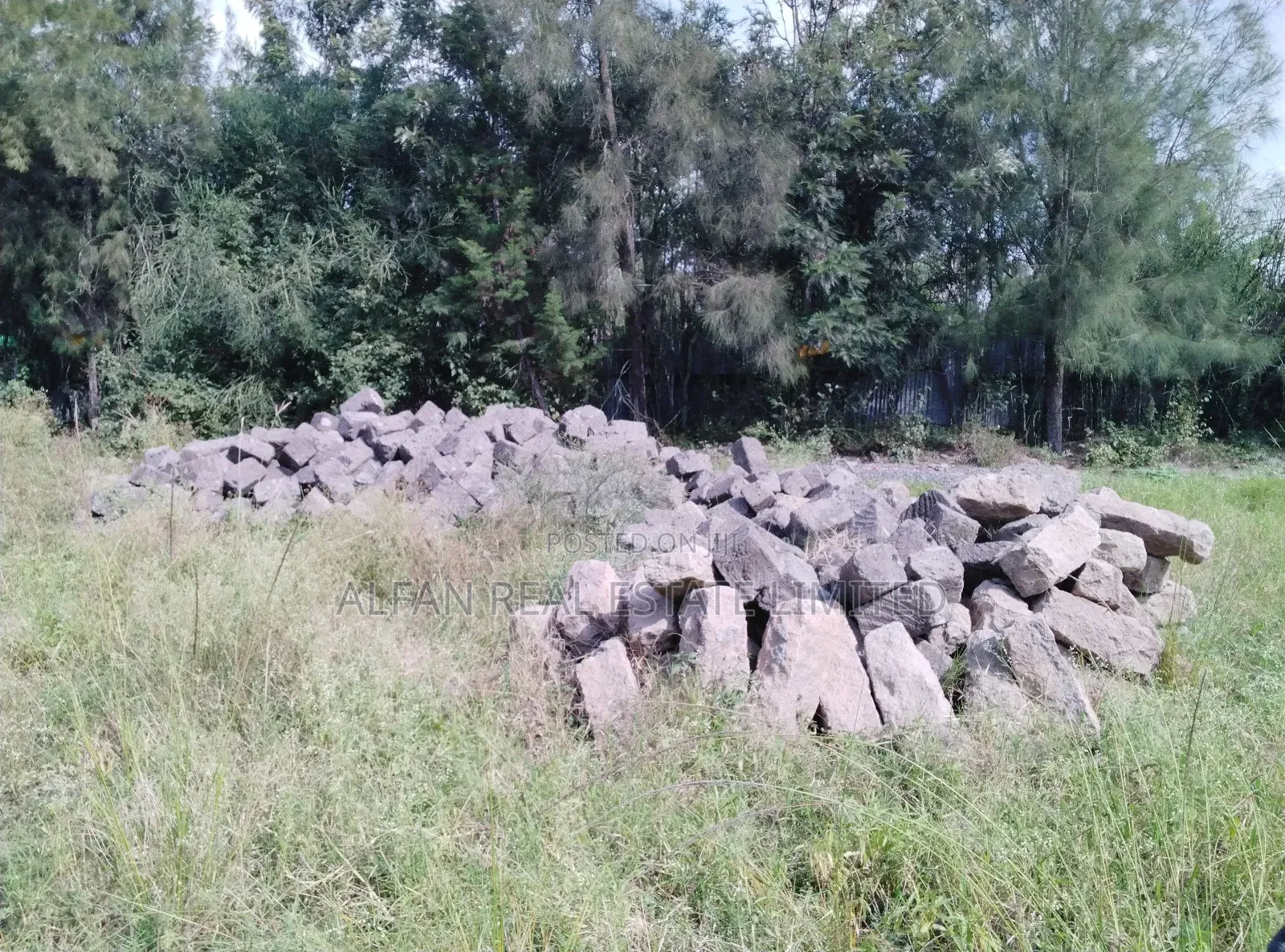 Utawala 0.25 Acre Plot