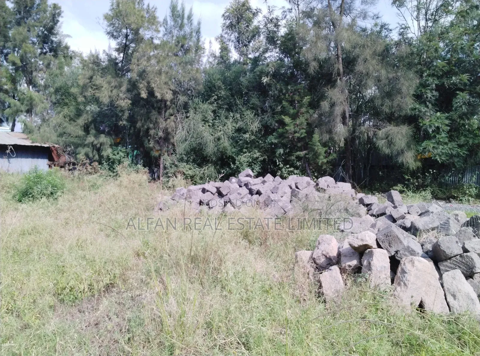 Utawala 0.25 Acre Plot