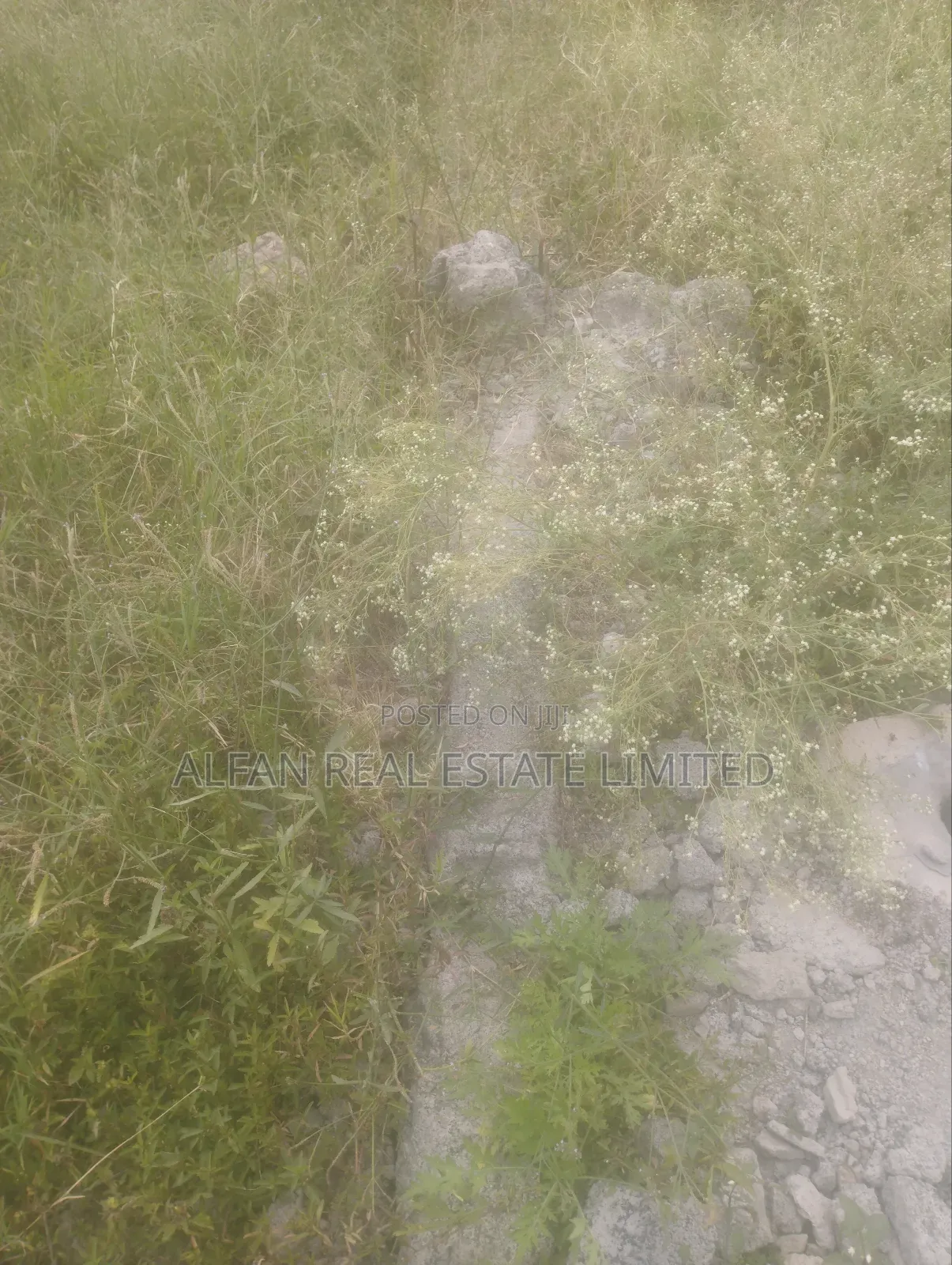 Utawala 0.25 Acre Plot