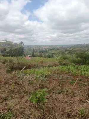 1/8 Acre Olesurutia