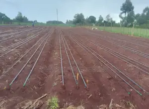 Drip Irrigation System Installation
