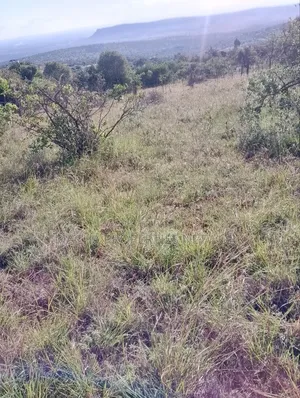 Mua Hills 1,2 or 3 Acres Price 5.5m