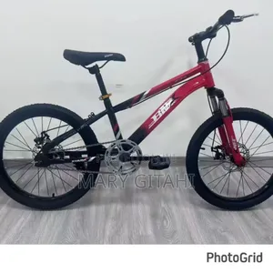 Red BMX Size 24 Bike