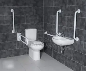Complete Seat of Disability Toilet Equipment Available