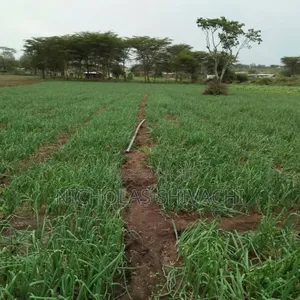 Plots In Kitengela (Taji Gardens)