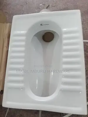 Asian Toilet