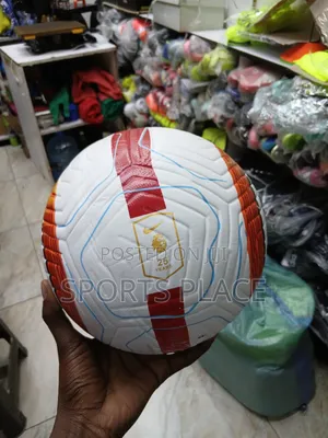 Nike Premier League 2024-2025 Flight Ball