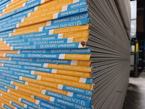 Lion King 9mm Plasterboard