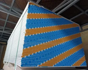 Lion King 9mm Ceiling Board