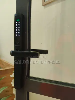 Aluminum Smart Lock With Fingerprint and Remote Access